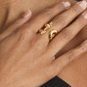 Brand New Third Crown Ring (Silver)